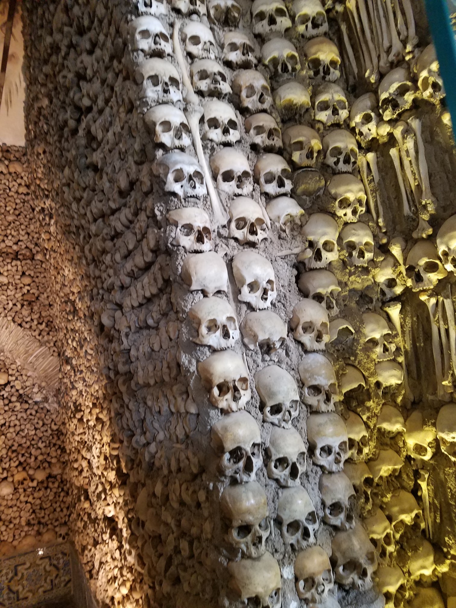 Bones Church Skeleton Heads 