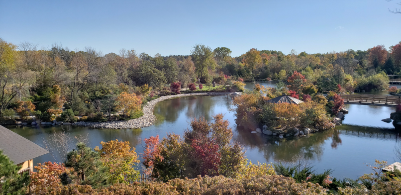 Autumn Tree Colors near pond