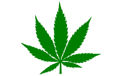 CLE Webinar for Attorneys – Cannabis Law