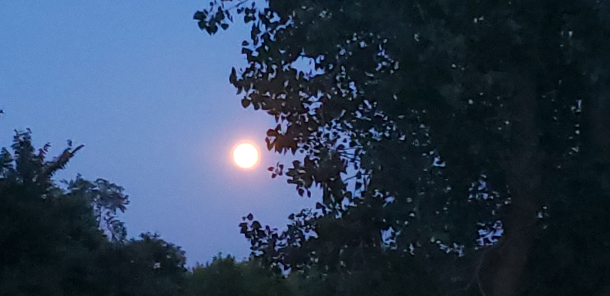 A Full Moon