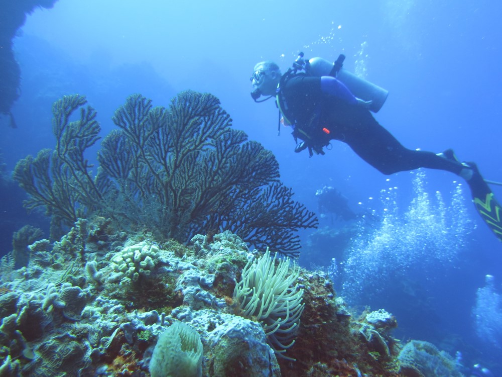 Underwater