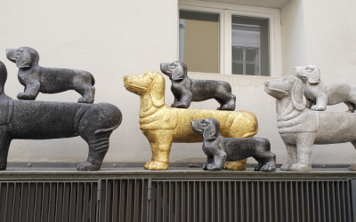 Breaking News – Another PSIC – Attorney Shield Renewal Option