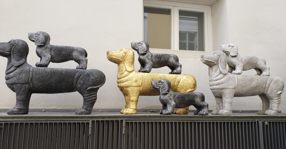 Dogs Falling in Line