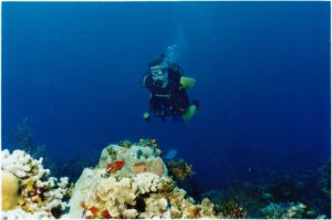 Scuba Diver looking for Treasury